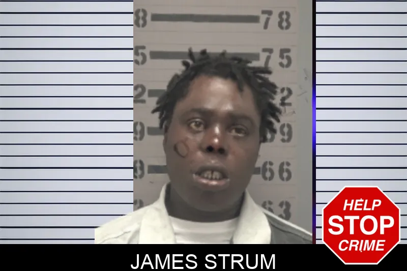 James Strum mugshot