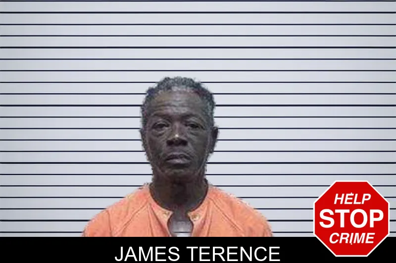 James Terence mugshot – Tattnall County , Georgia James Terence mugshot