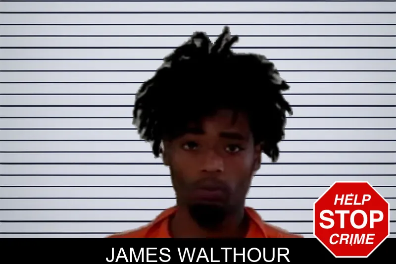 James Walthour mugshot – Liberty County , Georgia James Walthour mugshot