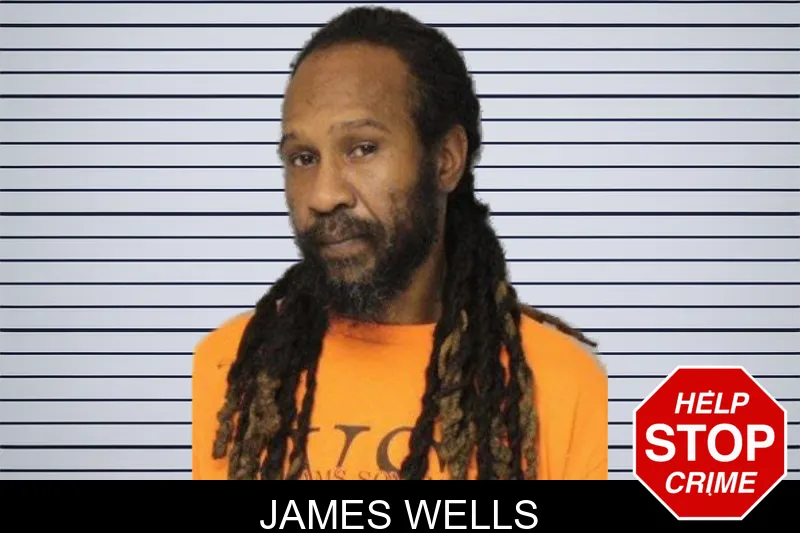 James Wells mugshot – Hall County , Georgia James Wells mugshot