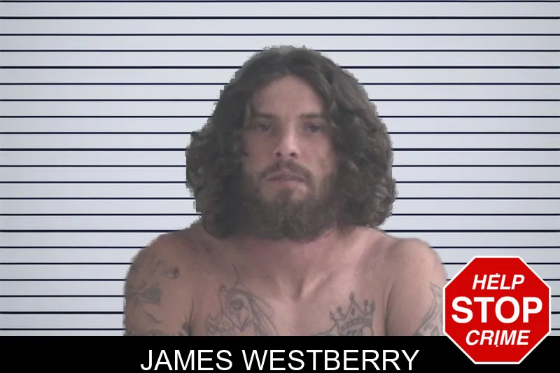 James Westberry mugshot – Brantley County , Georgia James Westberry mugshot