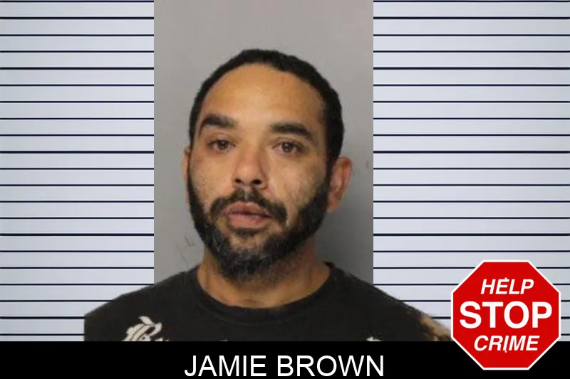 Jamie Brown mugshot – Hall County , Georgia Jamie Brown mugshot