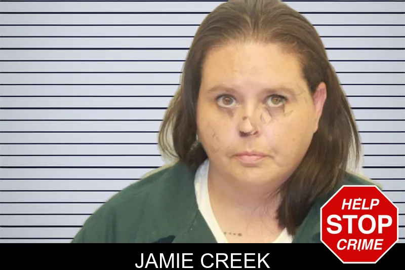 Jamie Creek mugshot – Chatham County , Georgia Jamie Creek mugshot