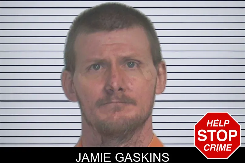 Jamie Gaskins mugshot – Berrien County , Georgia Jamie Gaskins mugshot