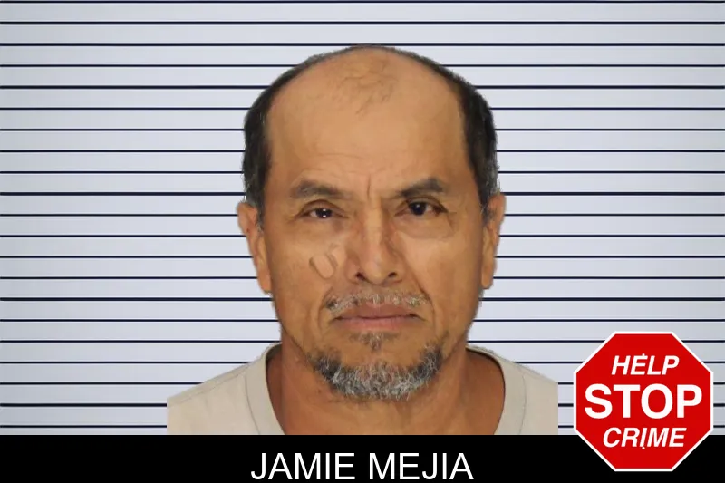 Jamie Mejia mugshot – Cobb County , Georgia Jamie Mejia mugshot