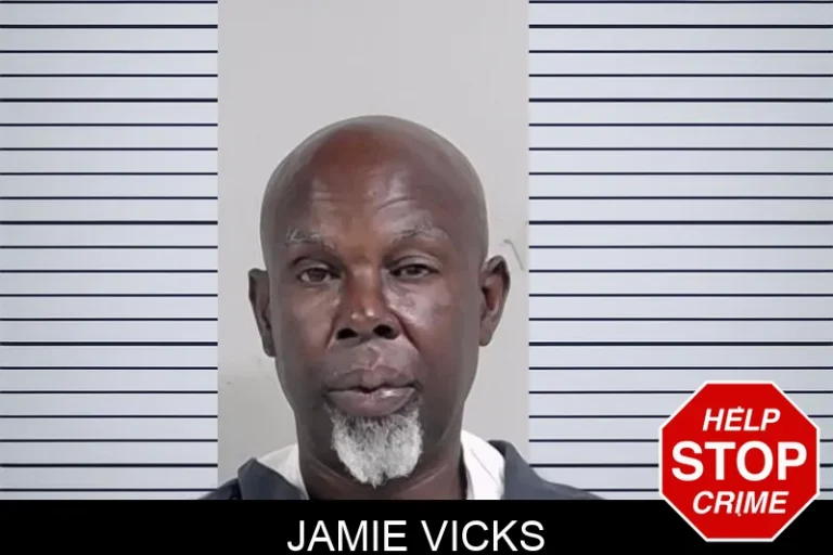 Jamie Vicks mugshot – Lowndes County , Georgia Jamie Vicks