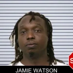 Jamie Watson mugshot – Bulloch County , Georgia Jamie Watson mugshot