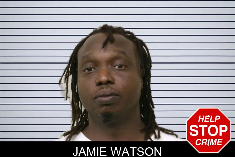 Jamie Watson mugshot – Bulloch County , Georgia Jamie Watson mugshot