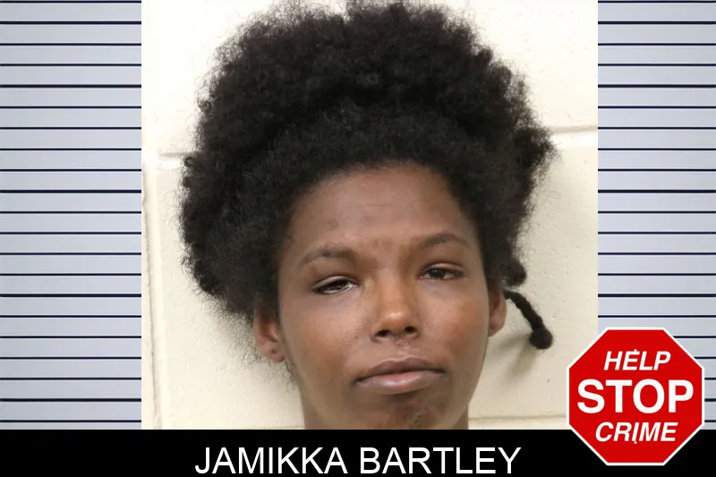 Jamikka Bartley mugshot – Bulloch County , Georgia Jamikka Bartley mugshot
