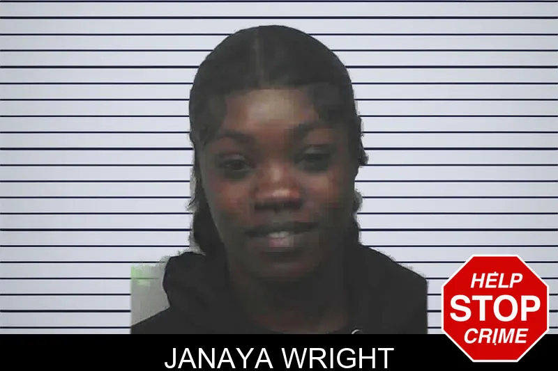 Janaya Wright mugshot – Lanier County , Georgia Janaya Wright mugshot