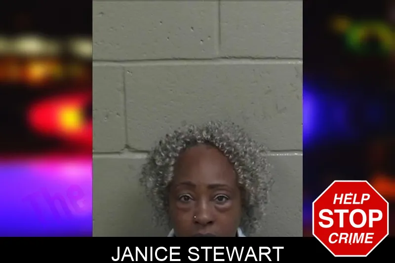 Janice Stewart mugshot – Wayne County , Georgia Janice Stewart mugshot