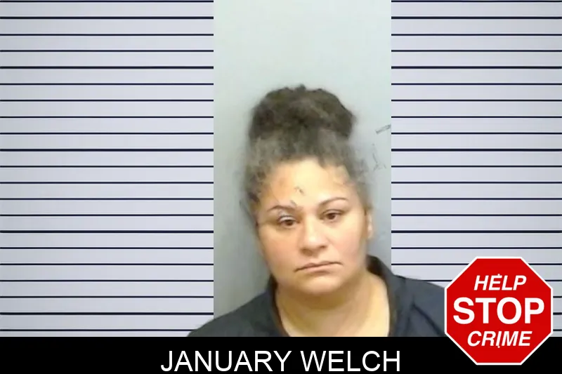 January Welch mugshot – Fulton County , Georgia January Welch mugshot