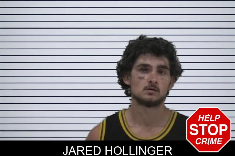 Jared Hollinger mugshot – Coffee County , Georgia Jared Hollinger mugshot