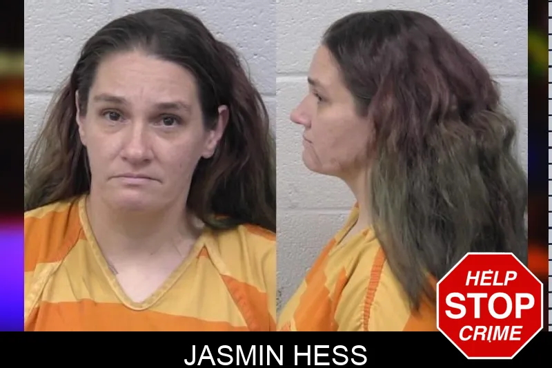Jasmin Hess mugshot