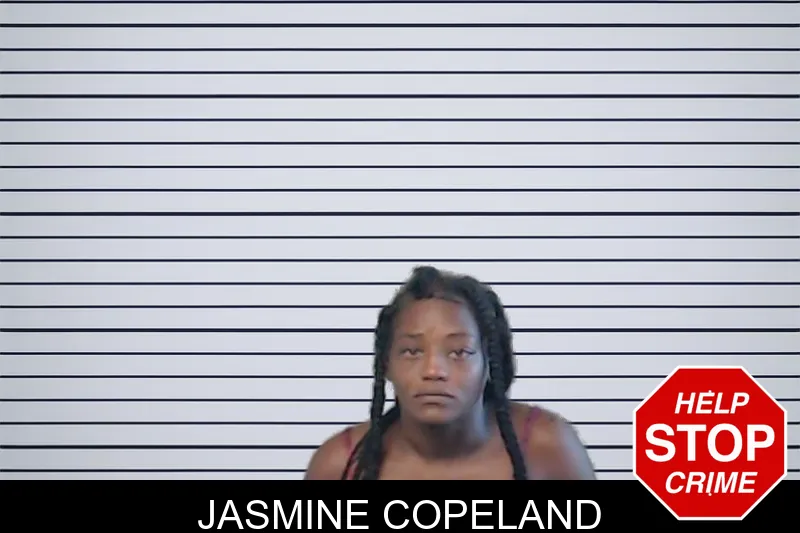 Jasmine Copeland mugshot – DeKalb County , Georgia Jasmine Copeland mugshot