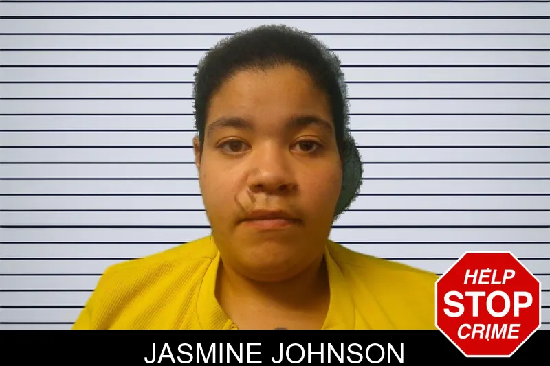 Jasmine Johnson mugshot – Franklin County , Georgia Jasmine Johnson mugshot
