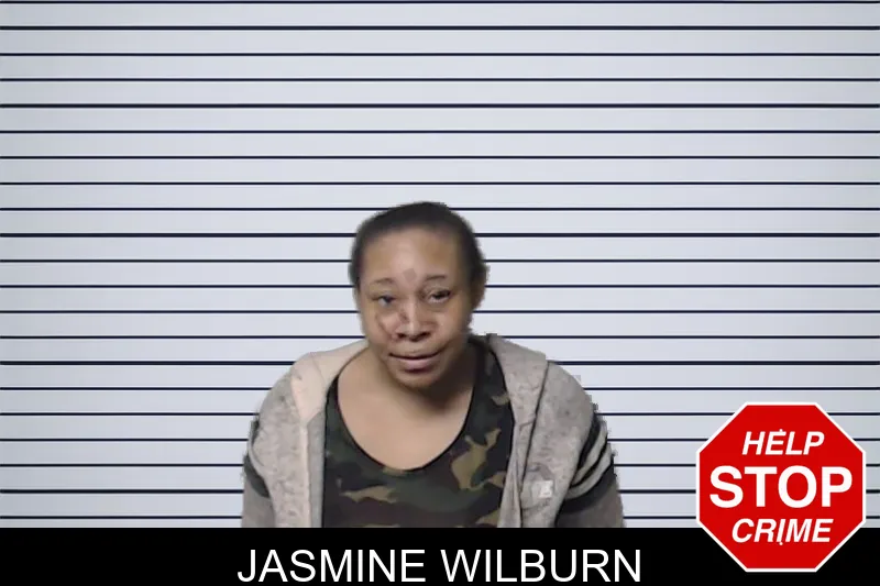 Jasmine Wilburn mugshot – DeKalb County , Georgia Jasmine Wilburn mugshot
