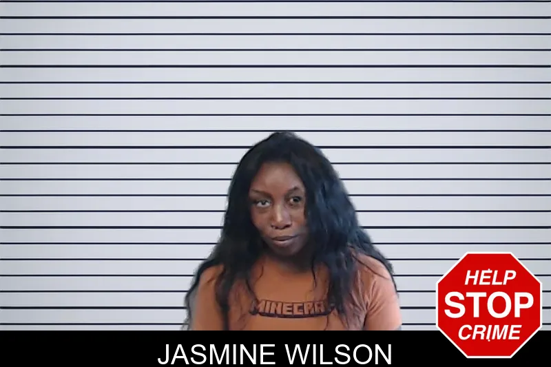 Jasmine Wilson mugshot – DeKalb County , Georgia Jasmine Wilson mugshot