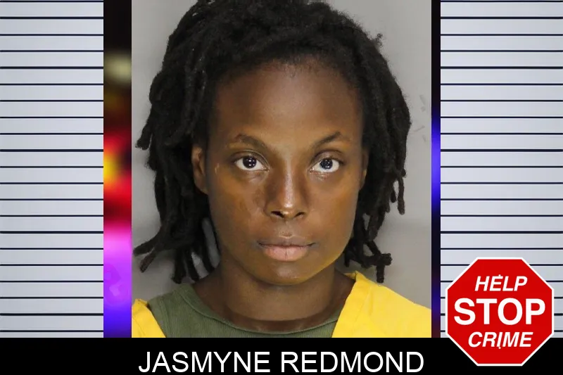 Jasmyne Redmond mugshot – Cobb County , Georgia Jasmyne Redmond mugshot