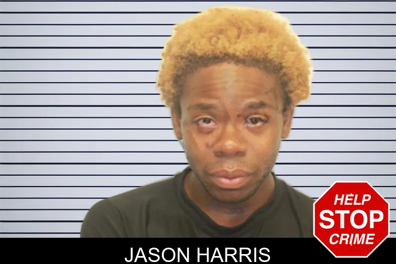 Jason Harris mugshot – Chatham County , Georgia Jason Harris mugshot