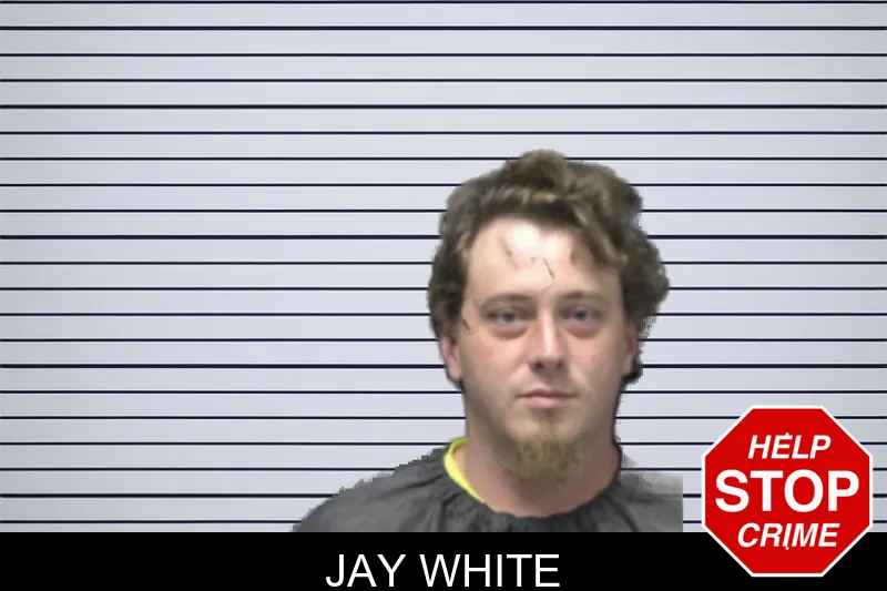 Jay White mugshot – Forsyth County , Georgia Jay White mugshot