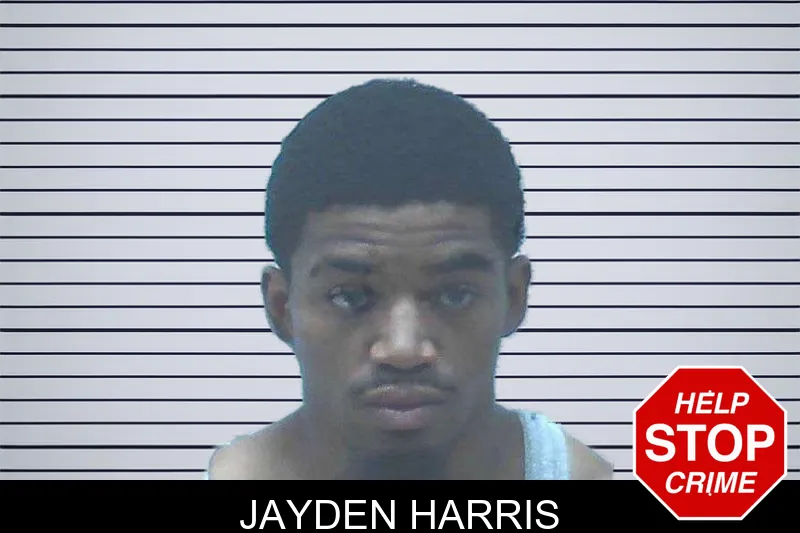 Jayden Harris mugshot – Jackson County , Georgia Jayden Harris mugshot