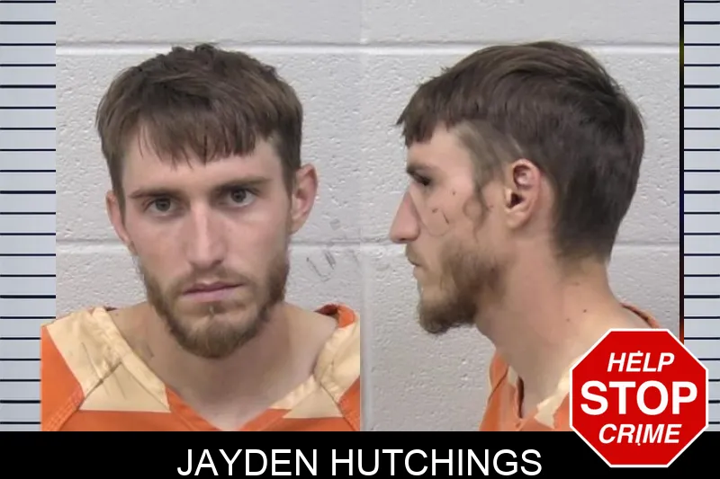 Jayden Hutchings mugshot