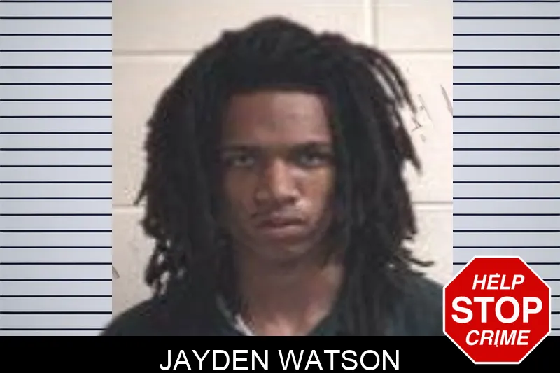 Jayden Watson mugshot