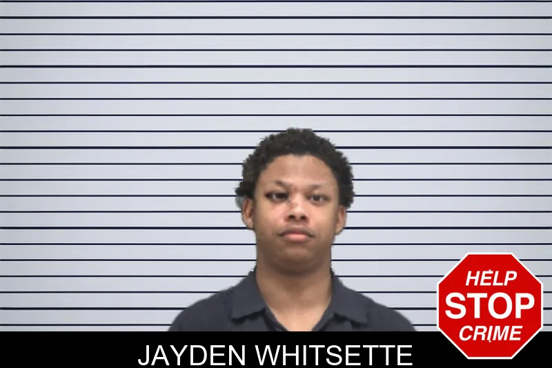 Jayden Whitsette mugshot – Dougherty County , Georgia Jayden Whitsette mugshot