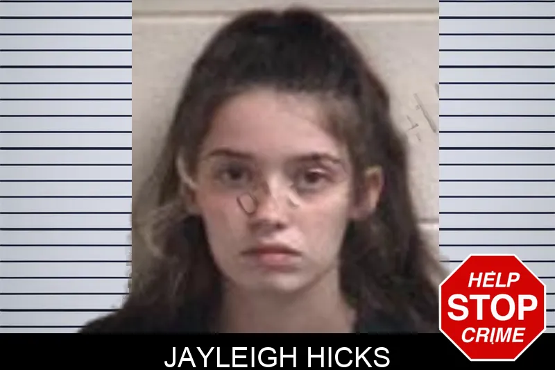 Jayleigh Hicks mugshot – Henry County , Georgia Jayleigh Hicks mugshot