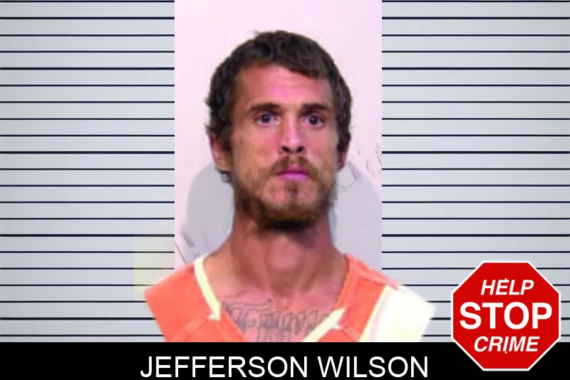 Jefferson Wilson mugshot – Bartow County , Georgia Jefferson Wilson mugshot