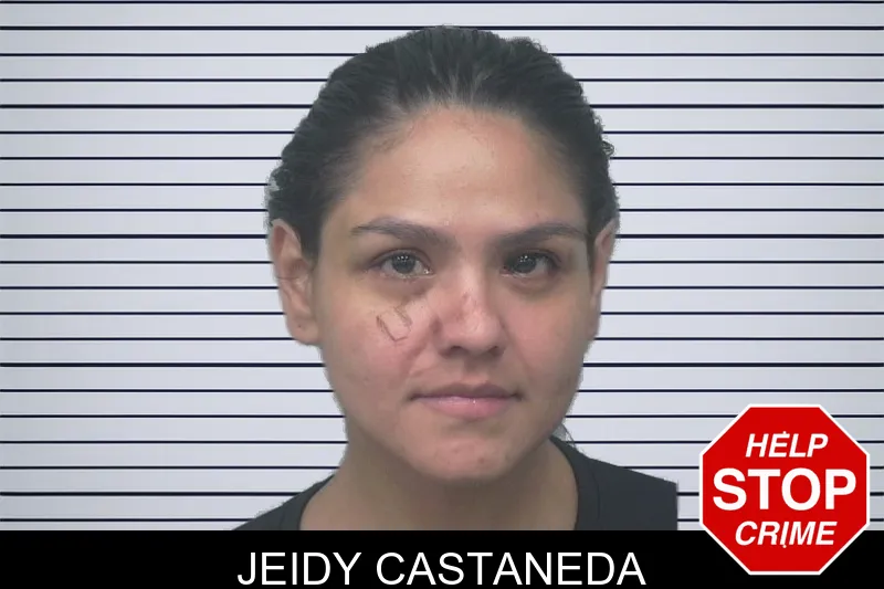 Jeidy Castaneda mugshot – Gwinnett County , Georgia Jeidy Castaneda mugshot