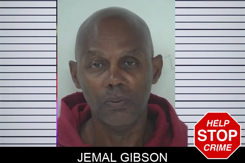 Jemal Gibson mugshot – Fayette County , Georgia Jemal Gibson mugshot