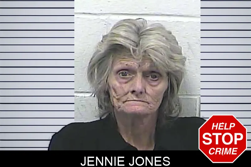 Jennie Jones mugshot – Dawson County , Georgia Jennie Jones mugshot
