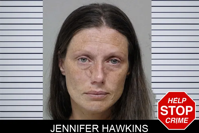 Jennifer Hawkins mugshot – Bibb County , Georgia Jennifer Hawkins mugshot