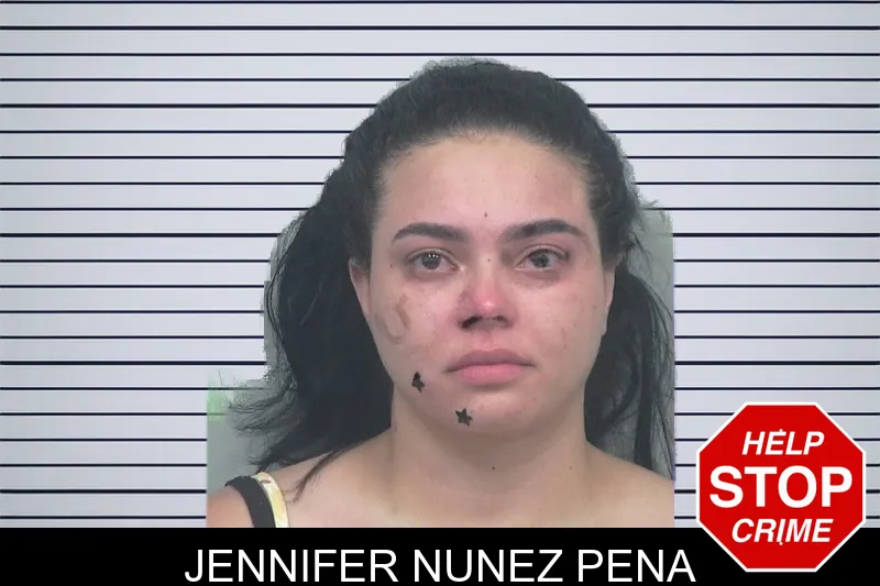 Jennifer Nunez Pena mugshot – Gwinnett County , Georgia Jennifer Nunez Pena mugshot