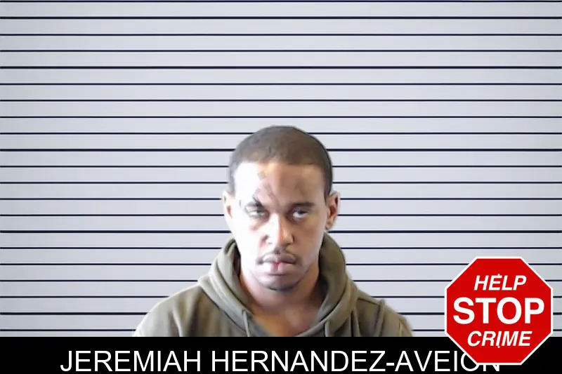 Jeremiah Hernandez-Aveion mugshot