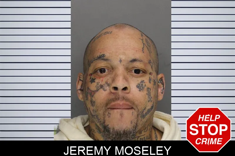 Jeremy Moseley mugshot – Cobb County , Georgia Jeremy Moseley mugshot