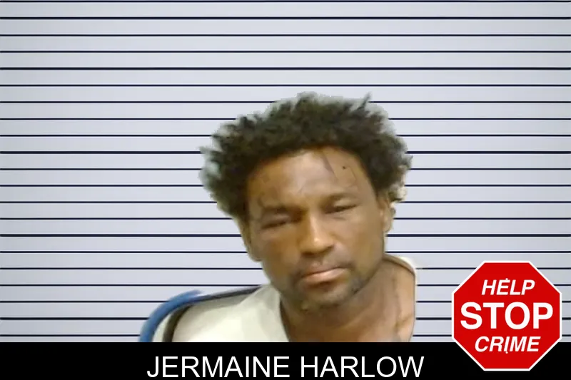 Jermaine Harlow mugshot