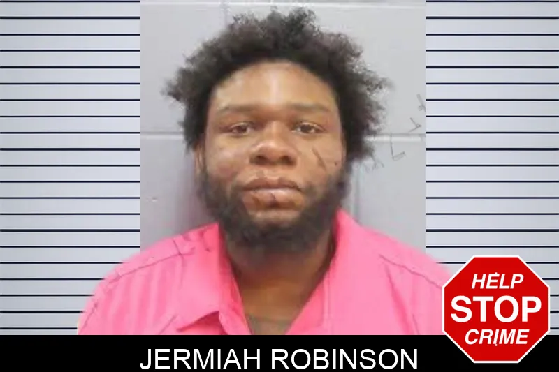 Jermiah Robinson mugshot – Lee County , Georgia Jermiah Robinson mugshot