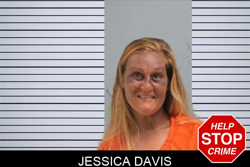 Jessica Davis mugshot – Grady County , Georgia Jessica Davis mugshot