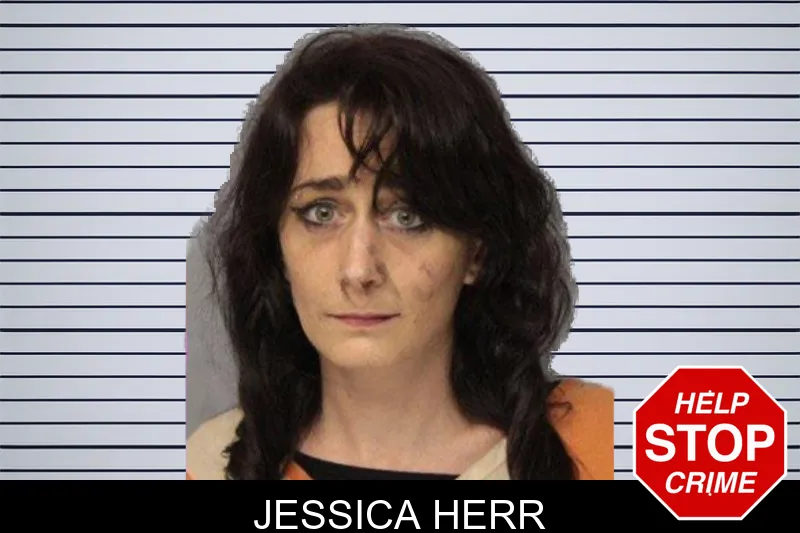 Jessica Herr mugshot – Hall County , Georgia Jessica Herr mugshot