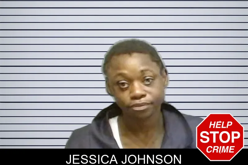Jessica Johnson mugshot – Fulton County , Georgia Jessica Johnson mugshot