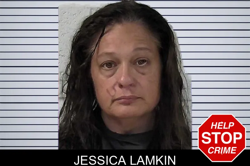 Jessica Lamkin mugshot – Elbert County , Georgia Jessica Lamkin mugshot