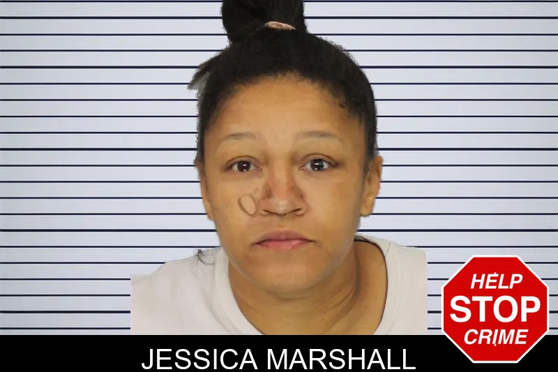 Jessica Marshall mugshot – Cobb County , Georgia Jessica Marshall mugshot