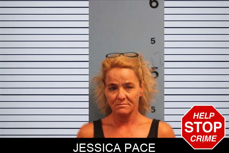 Jessica Pace mugshot – Monroe County , Georgia Jessica Pace mugshot