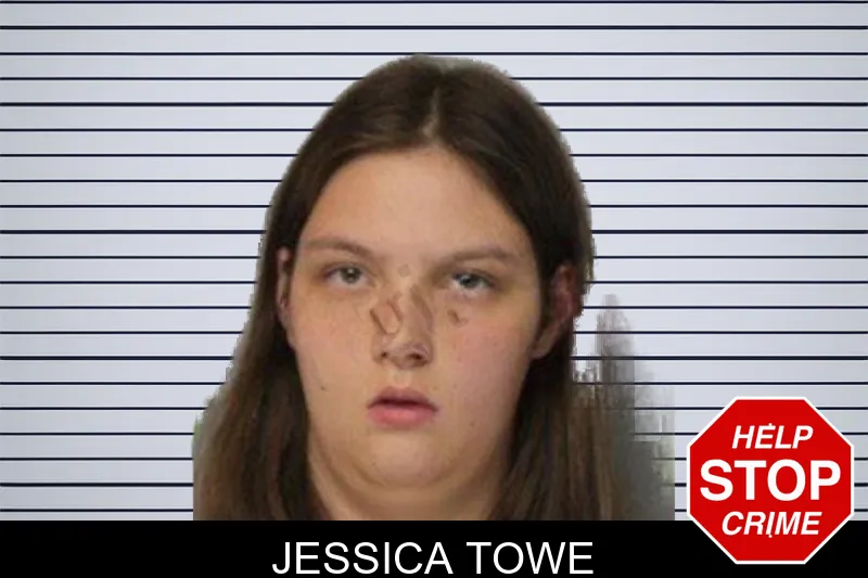 Jessica Towe mugshot – Hall County , Georgia Jessica Towe mugshot