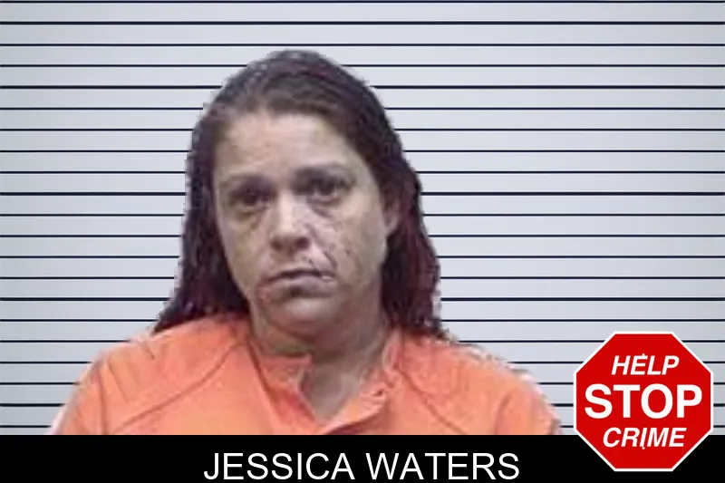 Jessica Waters mugshot – Tattnall County , Georgia Jessica Waters mugshot