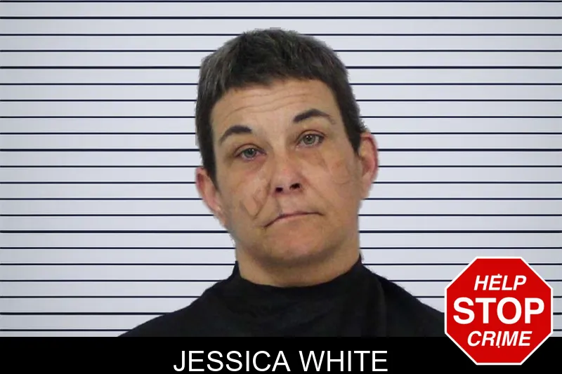 Jessica White mugshot – Carroll County , Georgia Jessica White mugshot