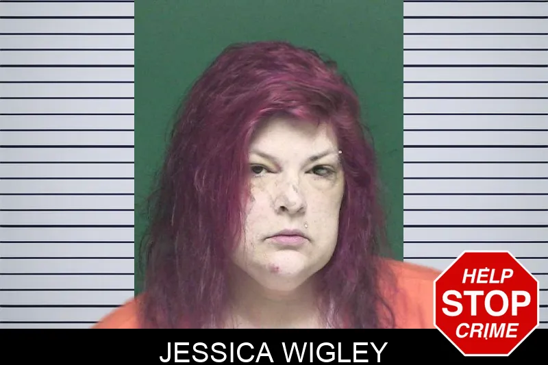 Jessica Wigley mugshot
